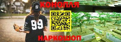 прущая мука Ачхой-Мартан