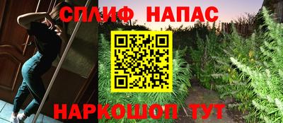 прущая мука Ачхой-Мартан