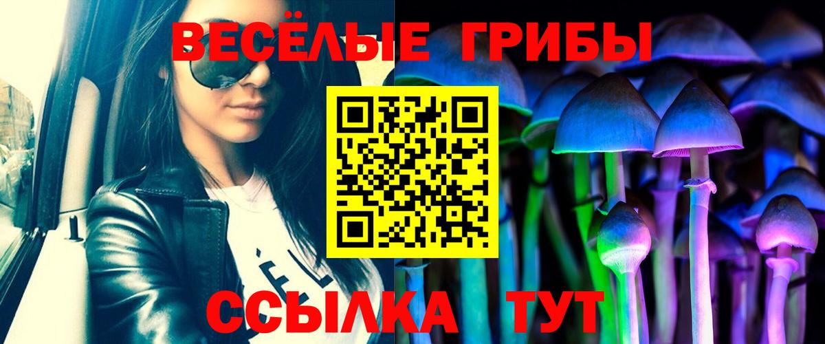 Галлюциногенные грибы Cubensis  Псилоцибиновые грибы прущие грибы  Вход с VPN  Павловский Посад 